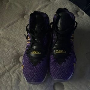 Lebron 17s